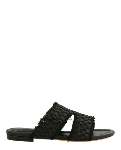 Alexandre Birman Kate Flat Sandal In Black