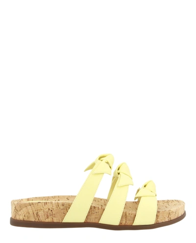 Alexandre Birman Lolita Pool Sandals In Yellow