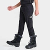 THE NORTH FACE THE NORTH FACE INC KIDS' EXPLORATION CARGO JOGGER PANTS