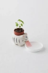URBAN OUTFITTERS CAT HERB PLANTER SET IN ASSORTED AT URBAN OUTFITTERS