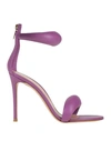 Gianvito Rossi Woman Sandals Purple Size 7.5 Leather
