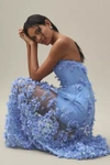 Helsi Audrey Square-neck Floral Applique Sheer Midi Dress In Purple