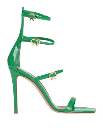 Gianvito Rossi Woman Sandals Green Size 8 Soft Leather