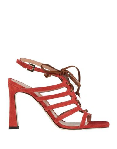 Pollini Woman Sandals Tomato Red Size 8 Leather