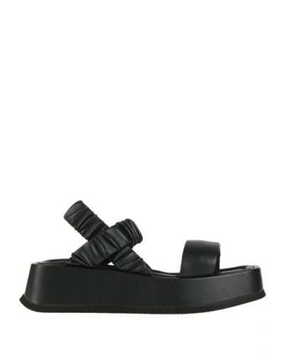 Pollini Woman Sandals Black Size 8 Textile Fibers