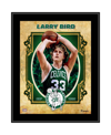 Fanatics Authentic Larry Bird Boston Celtics 10.5'' X 13'' Sublimated Hardwood Classics Player Plaque In Multi