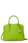 Tory Burch Women's Mini Pebbled Leather Swing Bag In Green