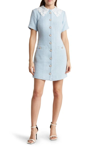 Alexia Admor Grady Lace Collar Short Sleeve Tweed Dress In Halogen Blue