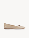 Chloé Chloe Lauren Scalloped Leather Ballerina Flat In Pink