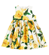DOLCE & GABBANA BABY FLORAL COTTON DRESS AND BLOOMERS SET