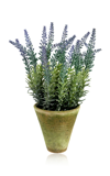 DIANE JAMES DESIGNS LAVENDER PLANT IN MOSSY POT