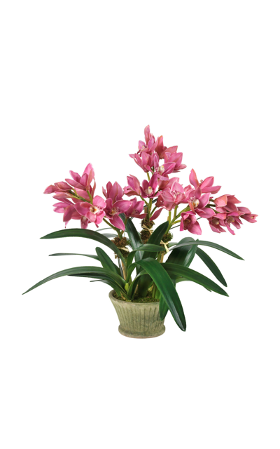 Diane James Designs Pink Cymbidium Orchids In Mossy Planter