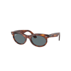 Ray Ban Wayfarer Oval Sunglasses Striped Havana Frame Blue Lenses Polarized 50-22 In Striped Havana