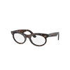 Ray Ban Wayfarer Oval Transitions® Sunglasses Havana Frame Brown Lenses 53-22 In Havana