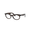 Ray Ban Wayfarer Oval Optics Eyeglasses Havana Frame Clear Lenses Polarized 53-22 In Havana
