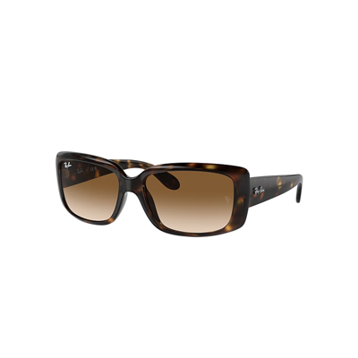 Ray Ban Rb4389 Sunglasses Havana Frame Brown Lenses 58-17