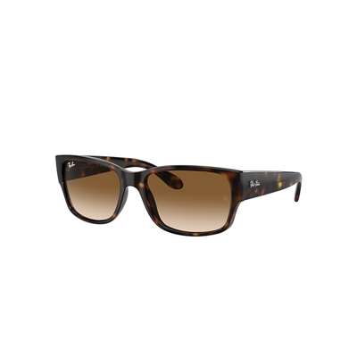 Ray Ban Rb4388 Sunglasses Havana Frame Brown Lenses 55-18