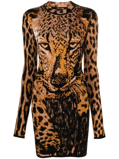 Roberto Cavalli Leopard-print Long-sleeve Minidress In Brown