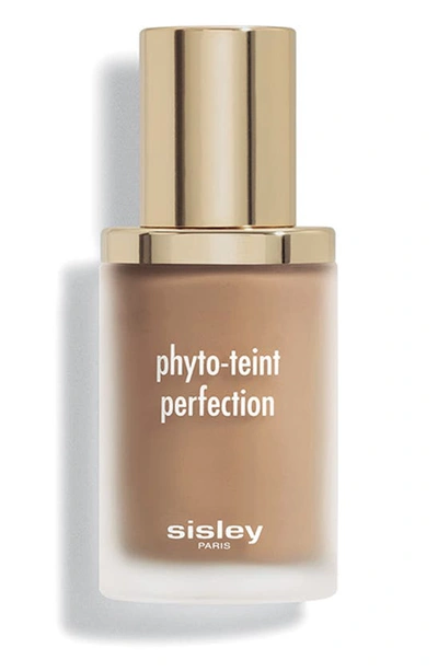 Sisley Paris Sisley-paris Phyto-teint Perfection Foundation In 6c Amber