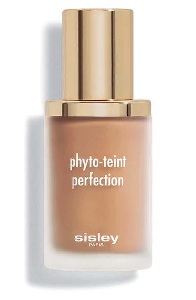 Sisley Paris Sisley-paris Phyto-teint Perfection Foundation In 6n Sandalwood