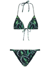 Reina Olga Sleeveless Swimsuit In Green