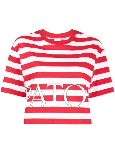 Patou T Shirt M/m In R Red White