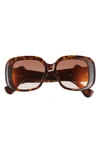 Cartier Panther-c Acetate Square Sunglasses In Havana