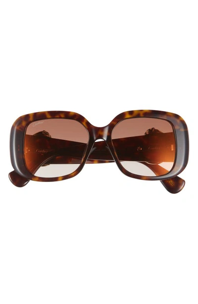 Cartier Panther-c Acetate Square Sunglasses In Dark Tortoiseshel