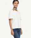 ANN TAYLOR FLUTTER SLEEVE TEE,447227