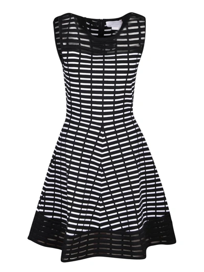 Genny Iconic Two-tone Flared Dress In Black