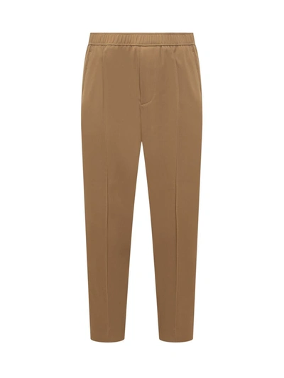 Max Mara Lanvin Tapered Elasticated Trousers Pants In Brown