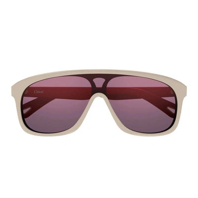 Chloé Sunglasses In Ivory