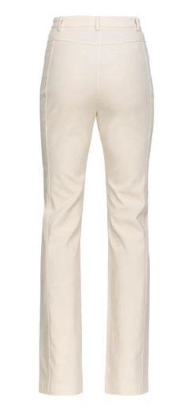 Pinko Stretch Cotton Pants In Pink