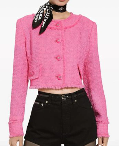 Dolce & Gabbana Sweaters In Pink