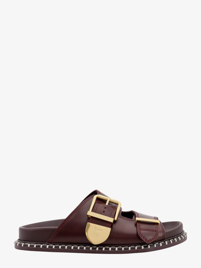 Chloé Leather Sandals With Iconic Oversized Buckle In Brown
