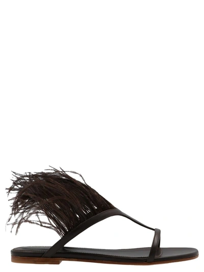 Pucci Feather Sandals In Brown