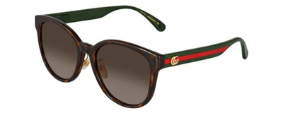 Pre-owned Gucci Gg0854sk Women Pantho Sunglasses Havana Tortoise Green Red Gold/brown 56mm In Multicolor