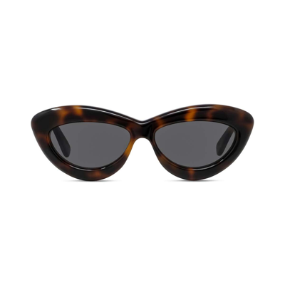 Loewe Sunglasses In Havana/grigio