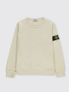 Stone Island Kids' Cotton Sweartshirt In Beige