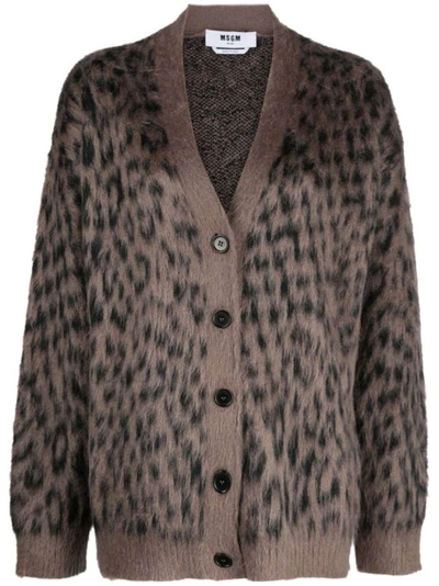 Msgm Leopard-print Button-up Cardigan In Grey