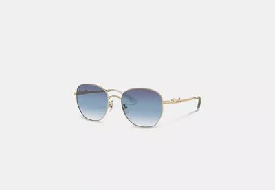 Coach Outlet Script Round Sunglasses In Blue