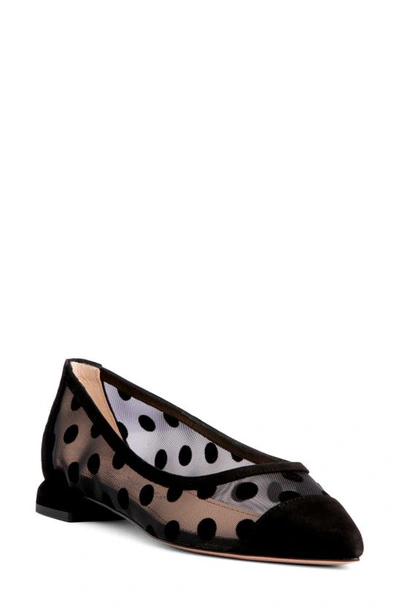 Beautiisoles Blake Pointed Cap Toe Flat In Black