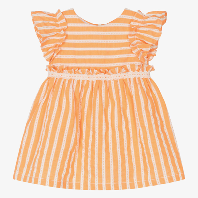 Dr Kid Babies' Girls Orange Cotton Striped Dress