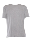 Fay Cotton T-shirt With Contrasting Color Collar In Brown