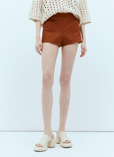 Max Mara Cotton Twill Mini Shorts In Brown