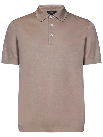 Herno Polo  In Beige