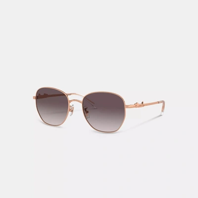 Coach Outlet Script Round Sunglasses In Black
