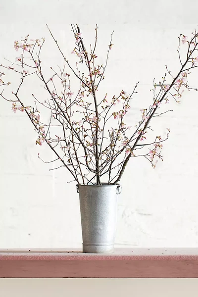 Terrain Seasonal Pink Blossom Branches