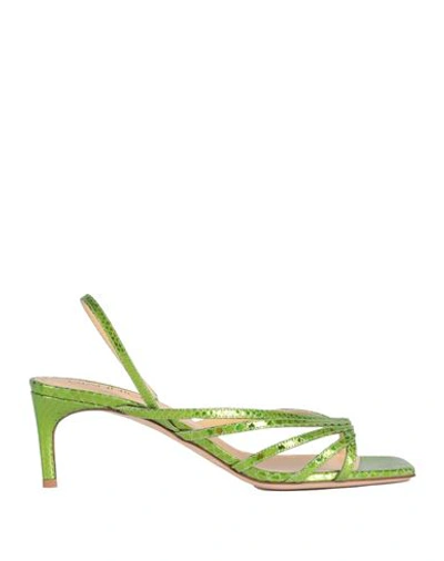 Giannico Woman Sandals Acid Green Size 11 Leather