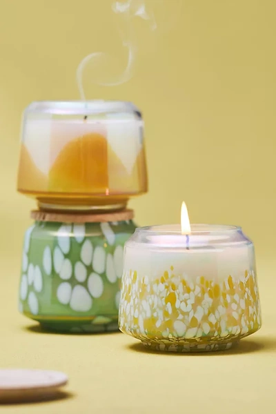 Anthropologie By  Discovery Mini Jar Candles, Set Of 3 In Multi